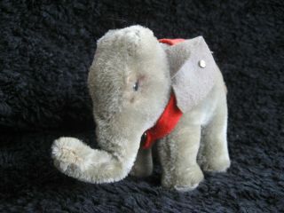 Rare 1950/78 German Steiff Elephant W.  Button