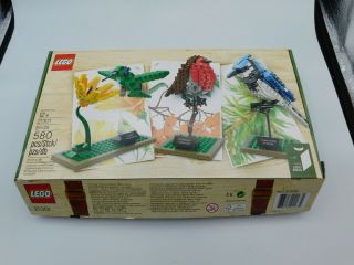 Lego Ideas Birds 21301 - Robin,  Bluejay & Hummingbird - Complete