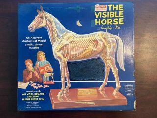 Renwal Products The Visible Horse Assembly Plastic Model Kit 807
