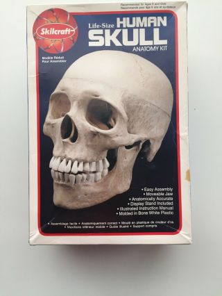 Vintage Skilcraft Life - Size Skull Model Kit 74625 1994 Anatomy Oddity Human