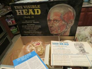 Renwal Products The Visible Head Assembly Plastic Model Kit 805 - Made In Usa