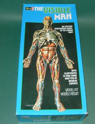1977 Revell The Visible Man Model Kit 16 " Bags H - 900