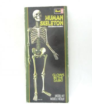 Vintage Human Skeleton Plastic Model Kit Glows By Revell 1977 Open Box H - 903