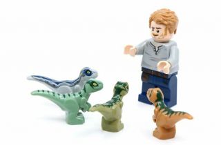 Lego Jurassic World Baby Dinosaur Raptor Echo Blue Charlie Delta Owen 75938
