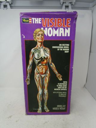 Vintage 1987 Revell The Visible Woman Human Body Model Kit 15 "