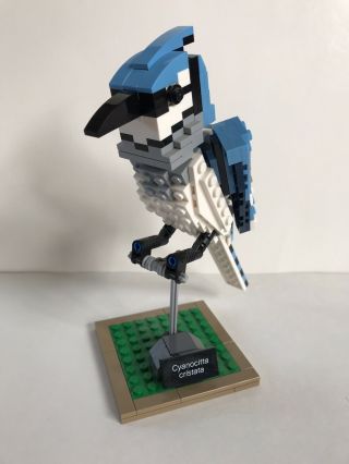 Lego Ideas Birds 21301 Blue Jay Only