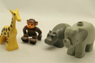 Lego Duplo Jungle Animal Set - 4 Baby Animals - Elephant,  Giraffe,  Hippo,  Monkey