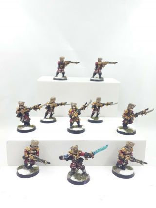 Games Workshop Warhammer Imperial Guard Vostroyan Firing Squad Great Paint Job