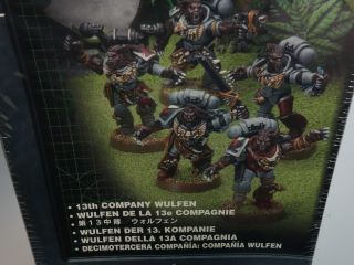 Warhammer 40K Space Wolves - 13th Company Wulfen (oop metal,  NiB) 3