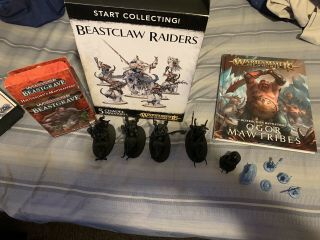 Warhammer Age Of Sigmar Start Collecting Beastclaw Raiders Plus