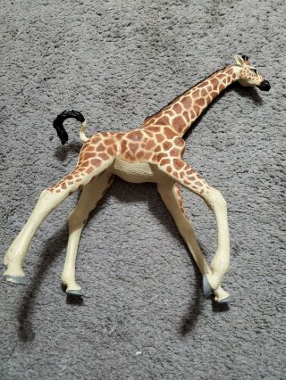 Vtg Vanishing Wild Reticulated Adult Female Giraffe Figurine 1992 Safari Ltd