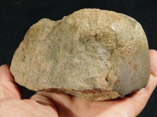 A Big Polished Jurassic Era Dinosaur Leg Bone Fossil From Utah 1133gr