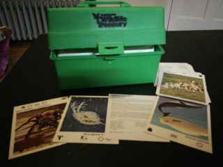 1975 Illustrated Wildlife Treasury 600,  Cards Box Carrying Case Animal Facts