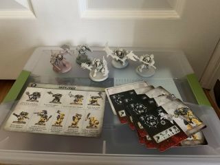 Warhammer Aos Ironjawz Orruk Ork Warclans Brutes X 5 And Warcry Cards 1k Pts