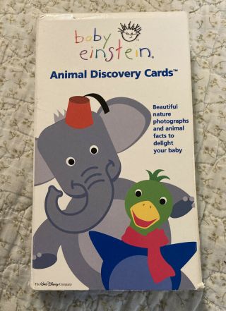 Disney Baby Einstein Animal Discovery Flash Cards Preschool Early Learning Htf