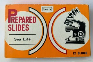 Vintage Sears 5 Boxes of PREPARED SLIDES Microscope of Specimens & Samples,  MORE 3