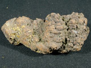 A Big 100 Natural Crocodile Or Turtle Coprolite Fossil From Madagascar 273gr