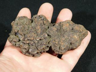 A Big 100 Natural Crocodile or Turtle Coprolite Fossil from Madagascar 273gr 2