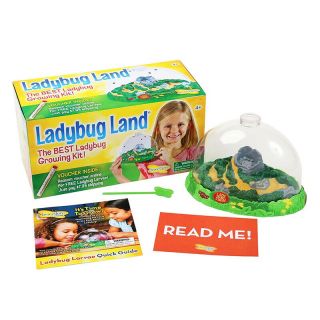 Insect Lore 2100 Ladybug Land (pp)