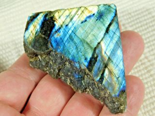 A Bright Blue And Gold Flash On This Cut And Polished Labradorite 98.  7gr