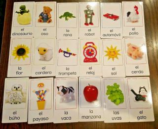 Baby Einstein Flash Cards Spanish Bilingual