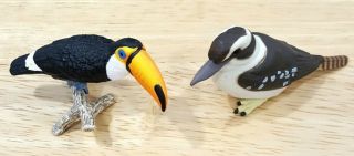 Safari Ltd.  Kookaburra,  Schleich Toucan Bird Wildlife Animal Figure Lot; Usa