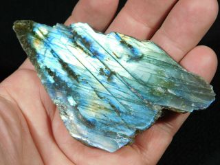 A Bright Blue Flash on This Cut and Polished Labradorite Pebble 104gr 2