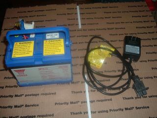 Replacement Battery & Charger For Power Wheels W/ 12 - Volt System