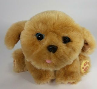 Little Live Pets Snuggles My Dream Puppy Brown Dog Plush Toy Euc