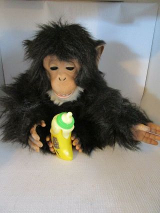 Furreal Friends Monkey Cuddle Chimp 12 " Interactive Plush With Banana Bottle