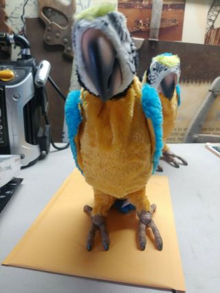 Furreal Friends Squawkers Mccaw Talking Parrot Hasbro,  No Remote