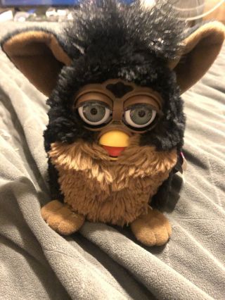 Furby Black And Brown 1998 Model 70 - 800 With Tags