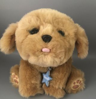 Little Live Pets Snuggles My Dream Puppy Dog Plush Motion Sound Interactive
