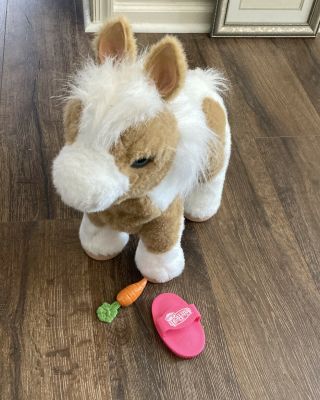 Hasbro Furreal Friends Butterscotch Horse My Magic Show Pony With Brush/carrot