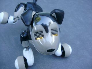 ZOOMER ' S BEST FRIEND ' SHADOW ' INTERACTIVE ROBOTIC TOY PUPPY DOG 3
