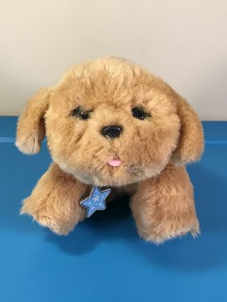 Little Live Pets Snuggles My Dream Puppy Electronic Interactive Plush Dog Video