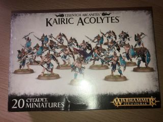 Warhammer Age Of Sigmar Aos Disciples Of Tzeentch Kairic Acolytes 81720 A