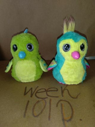 Hatchimals Green Dragon Draggle And Teal And Green Owl