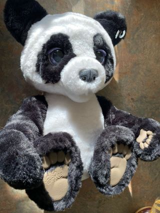 Furreal Plum,  The Curious Panda Bear Cub Plush Toy