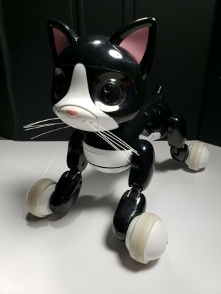 Zoomer Black Cat Spin Master Interactive Robot -