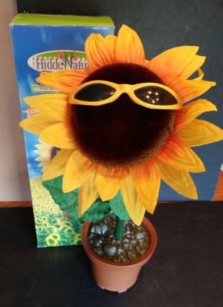 Gemmy Hidden Nature Sunny Singing Sunflower You Are My Sunshine Box Partly