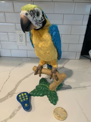 Furreal Friends Squawkers Mccaw Talking Parrot Hasbro Great