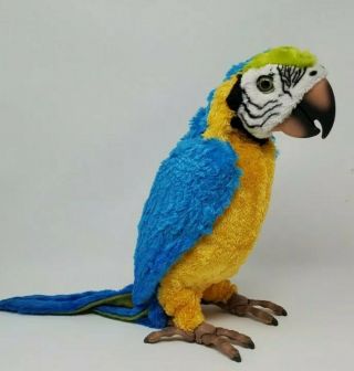 Furreal Friends Squawkers Mccaw Talking Parrot Hasbro