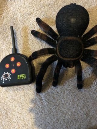 Remote Control Scary Creepy Soft Plush Spider Tarantula Animal Planet