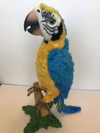 Hasbro Furreal Friends Squawkers Mccaw Talking Interactive Parrot 77182 W/stand