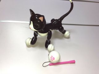 Zoomer Kitty Interactive Robot Black White Cat By Spin Master Robotic Toy