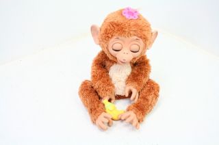 See Notes Furreal Friends A1650 Cuddles My Giggly Monkey Lifelike Pet Brown