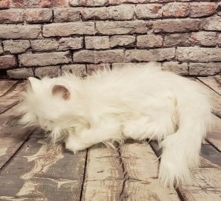 Tiger Electronic Furreal Friends White Persian Cat Kitten Realistic 17 "