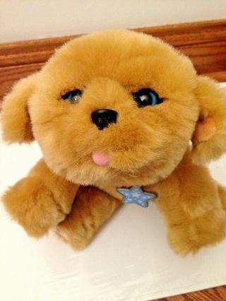 Little Live Pets Snuggles My Dream Puppy Dog Plush Motion Sound Interactive