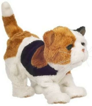 Furreal Friends 7 " Newborn Calico Kitten Kitty Cat Purrs Moves Interactive